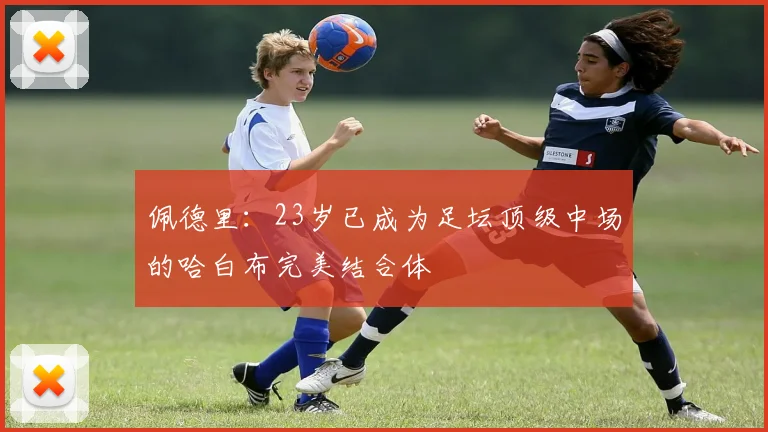 佩德里：23岁已成为足坛顶级中场的哈白布完美结合体