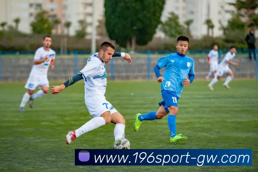 196体育平台生态图