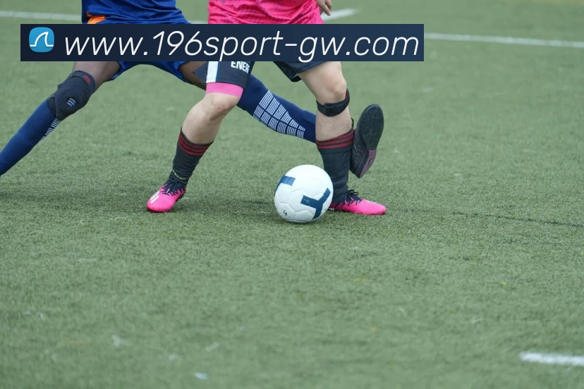 196体育APP 封面图